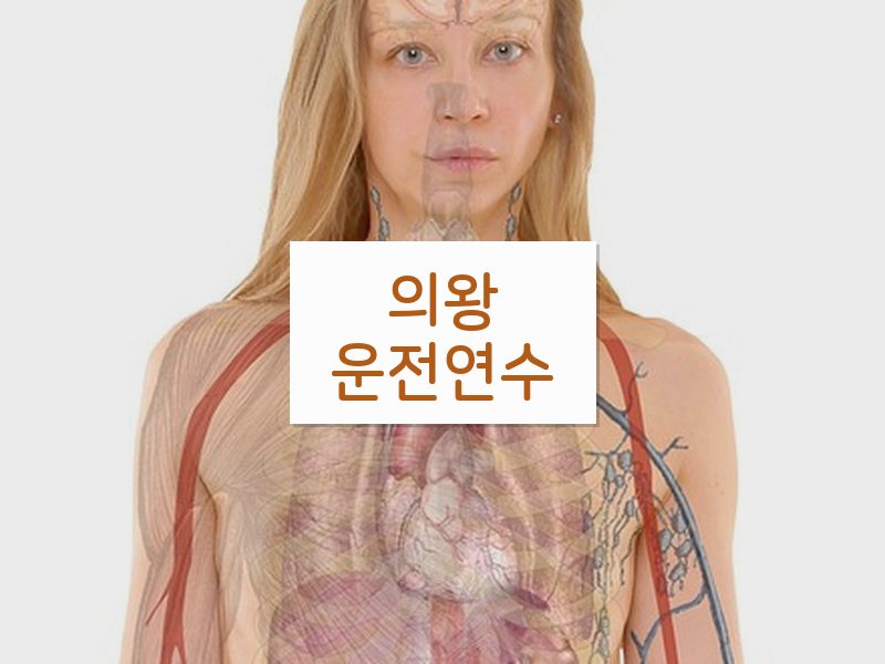 의왕운전연수 후기