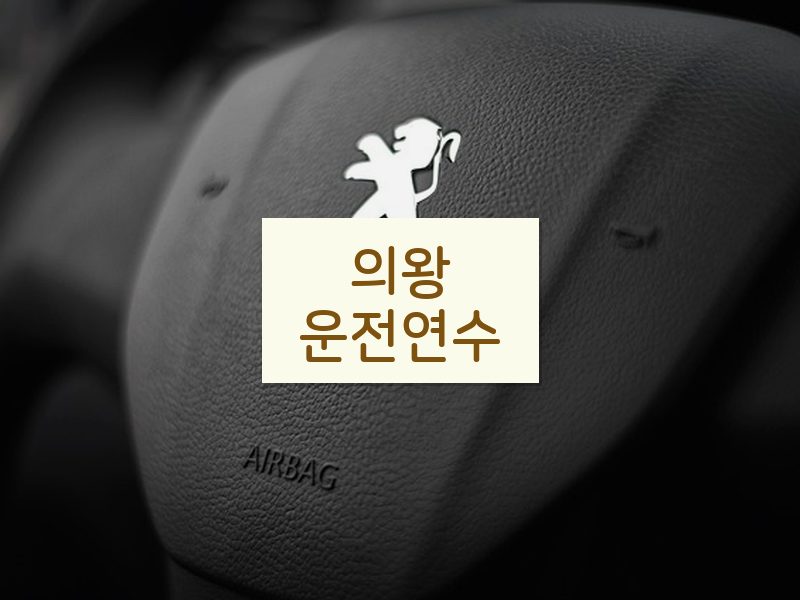 의왕운전연수 후기