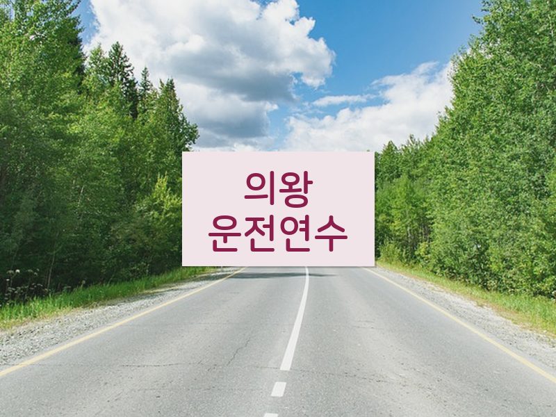 의왕운전연수 후기
