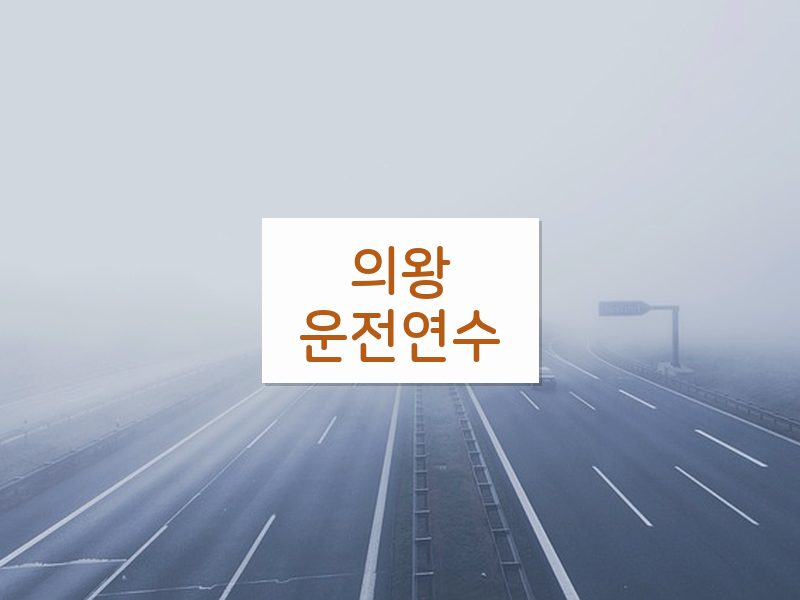 의왕운전연수 후기