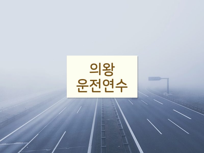 의왕운전연수 후기