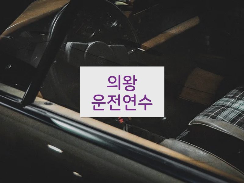 의왕운전연수 후기