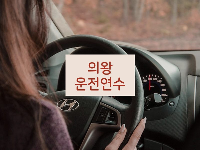 의왕운전연수 후기