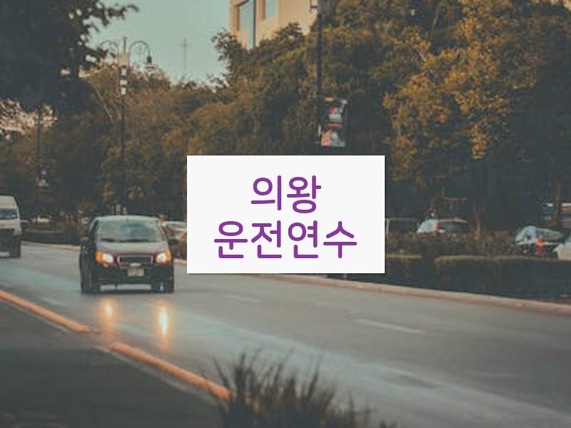 의왕운전연수 후기