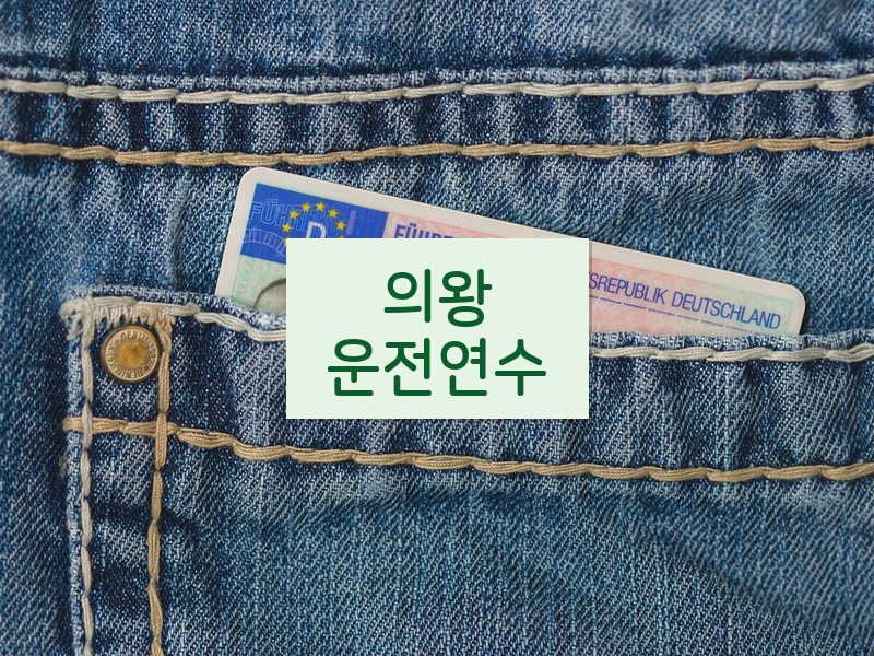 의왕운전연수 후기