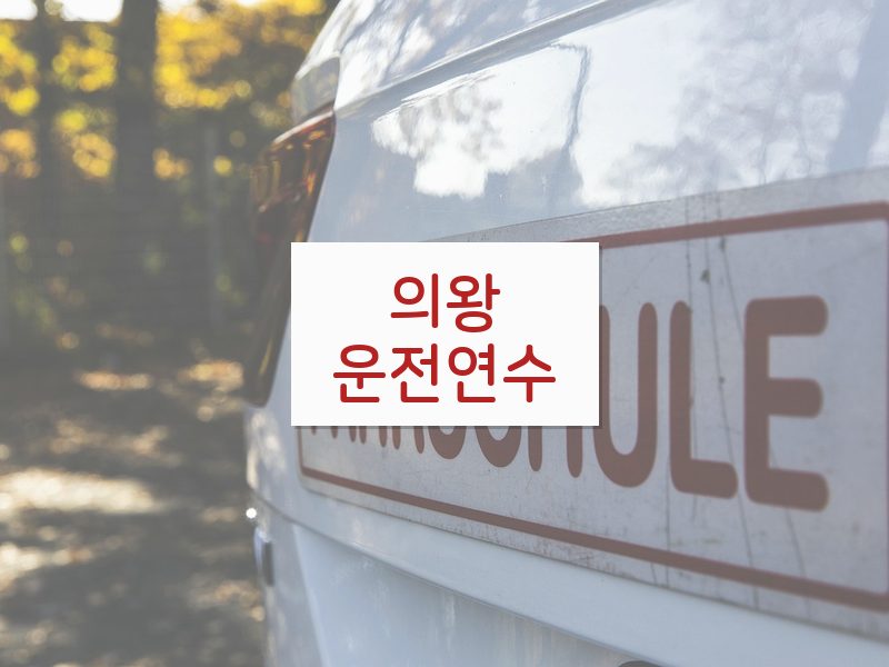 의왕운전연수 후기