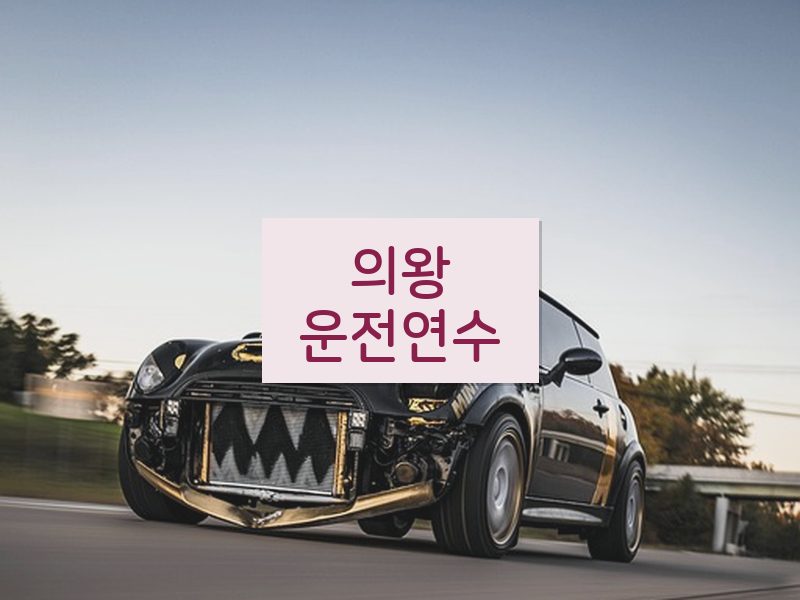 의왕운전연수 후기