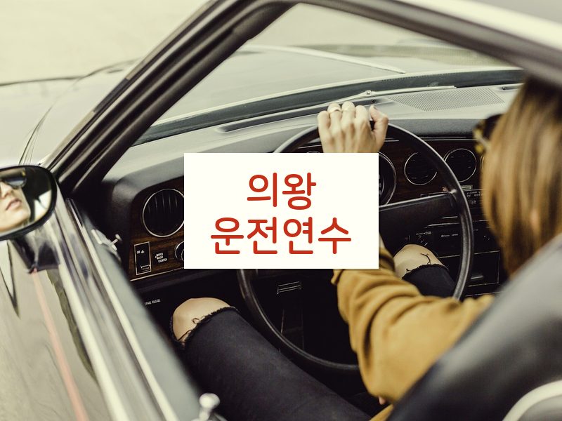 의왕운전연수 후기