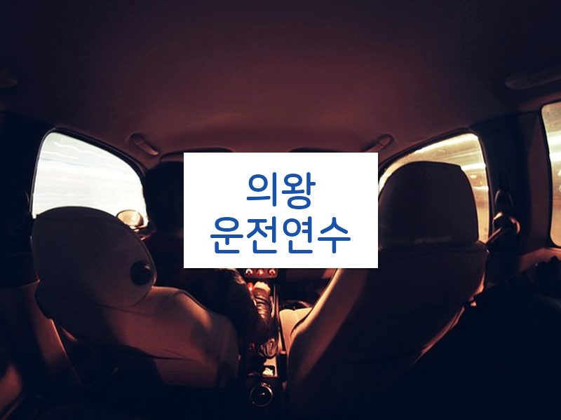 의왕운전연수 후기