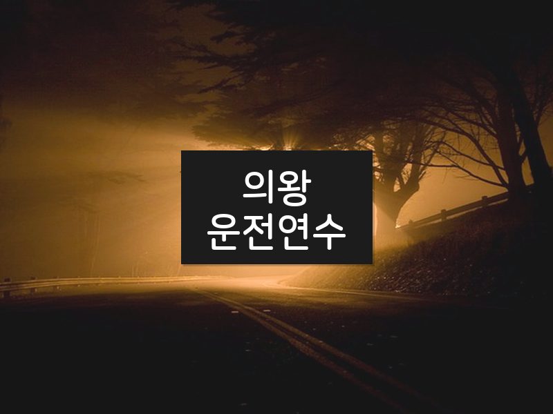 의왕운전연수 후기