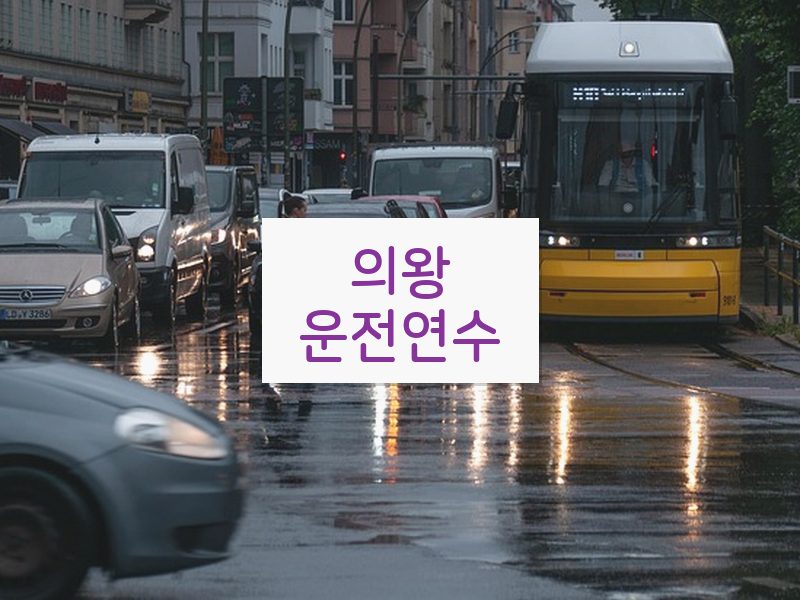 의왕운전연수 후기
