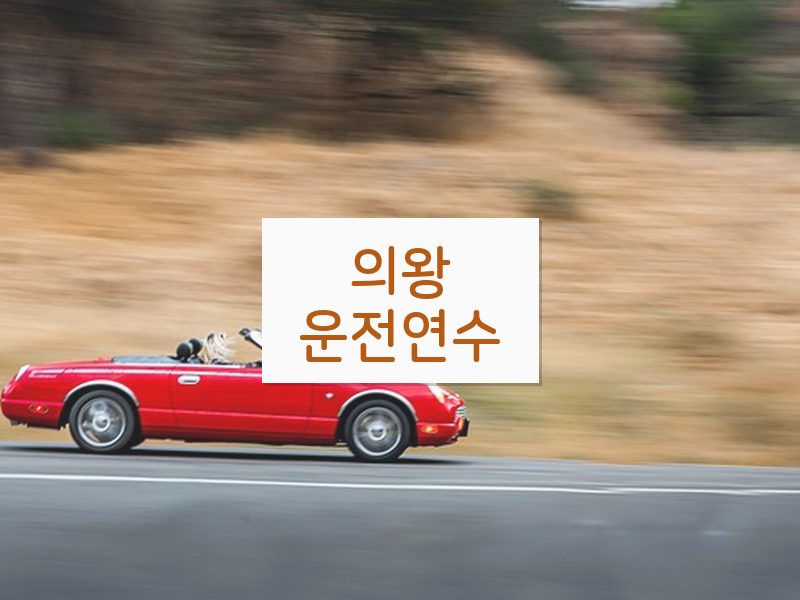 의왕운전연수 후기