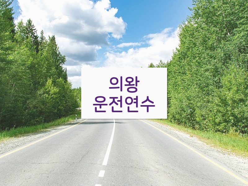 의왕운전연수 후기
