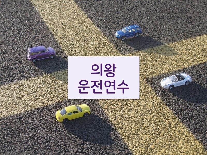 의왕운전연수 후기