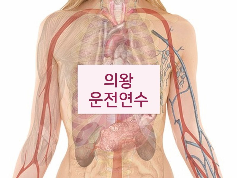 의왕운전연수 후기
