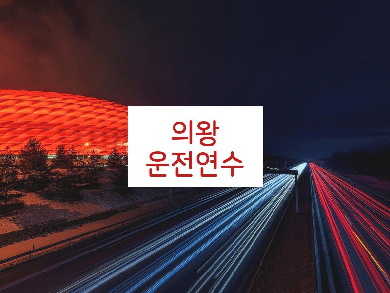 의왕운전연수 후기