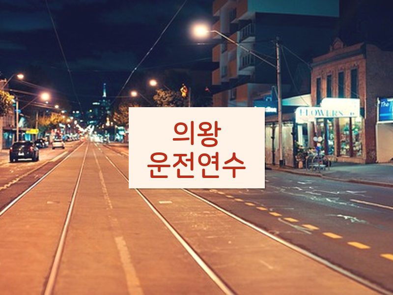 의왕운전연수 후기
