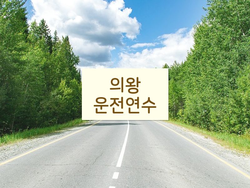 의왕운전연수 후기
