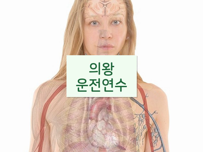 의왕운전연수 후기