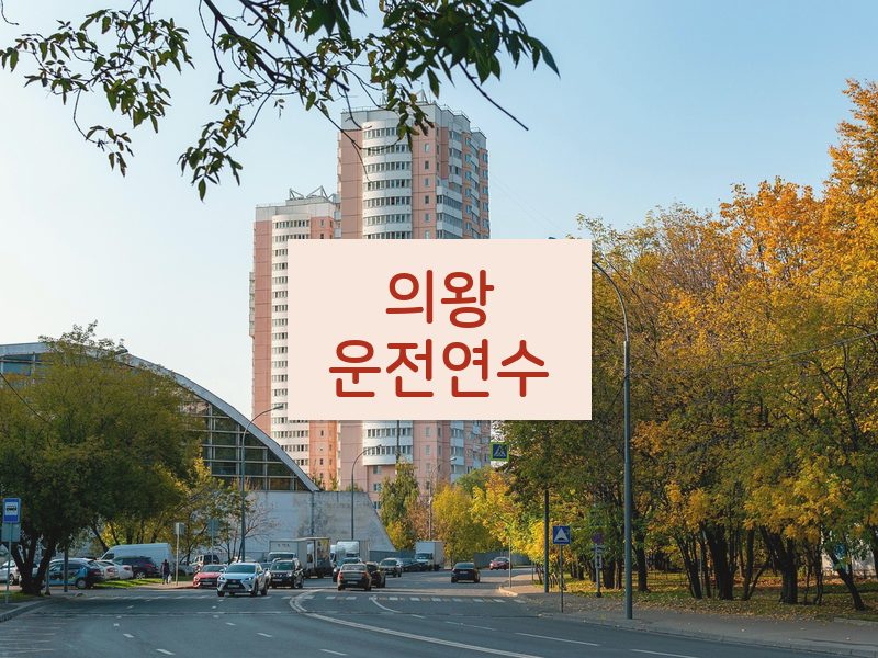 의왕운전연수 후기