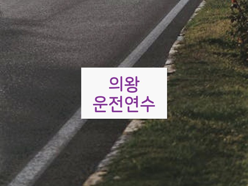 의왕운전연수 후기