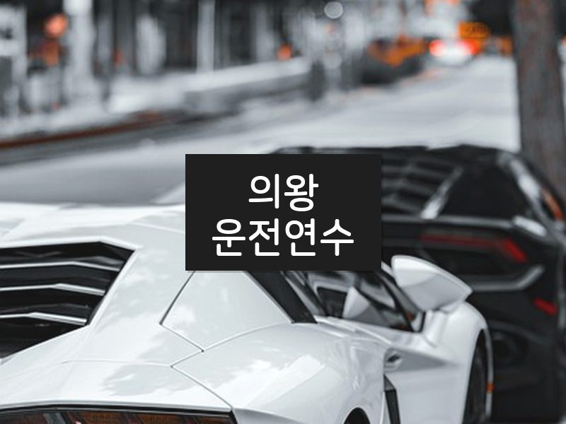 의왕운전연수 후기