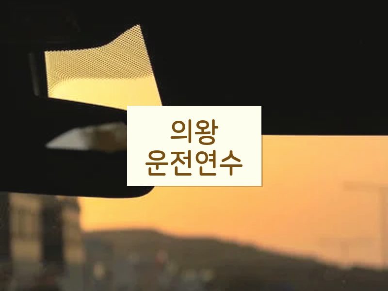 의왕운전연수 후기