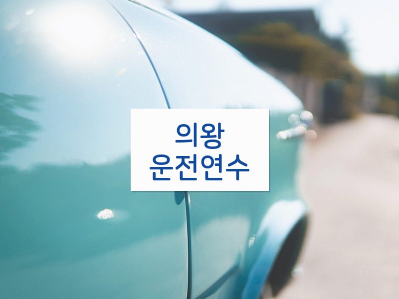 의왕운전연수 후기