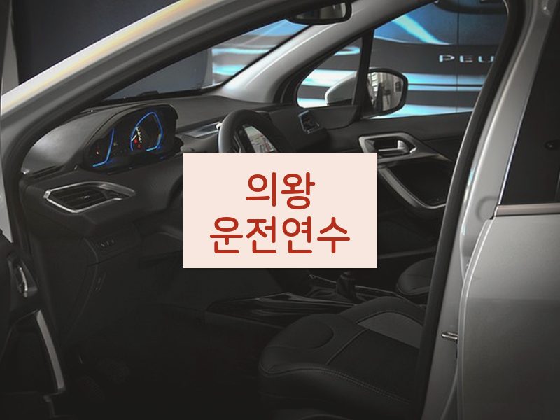 의왕운전연수 후기