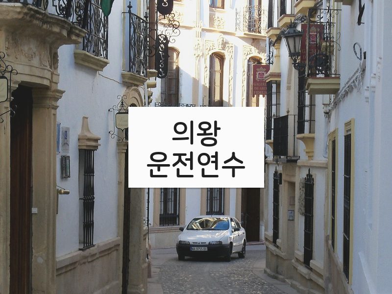 의왕운전연수 후기