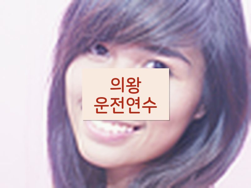 의왕운전연수 후기