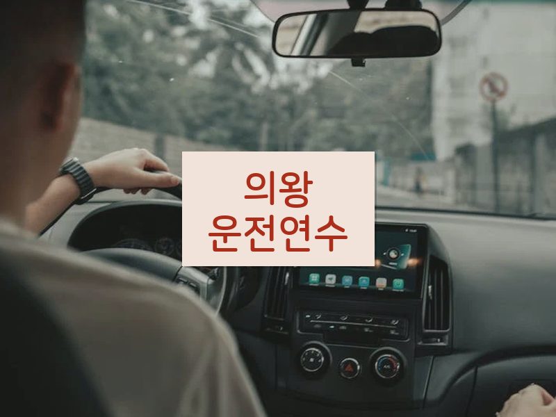 의왕운전연수 후기