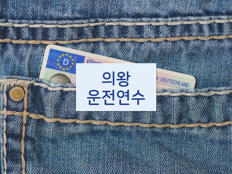 의왕운전연수 후기