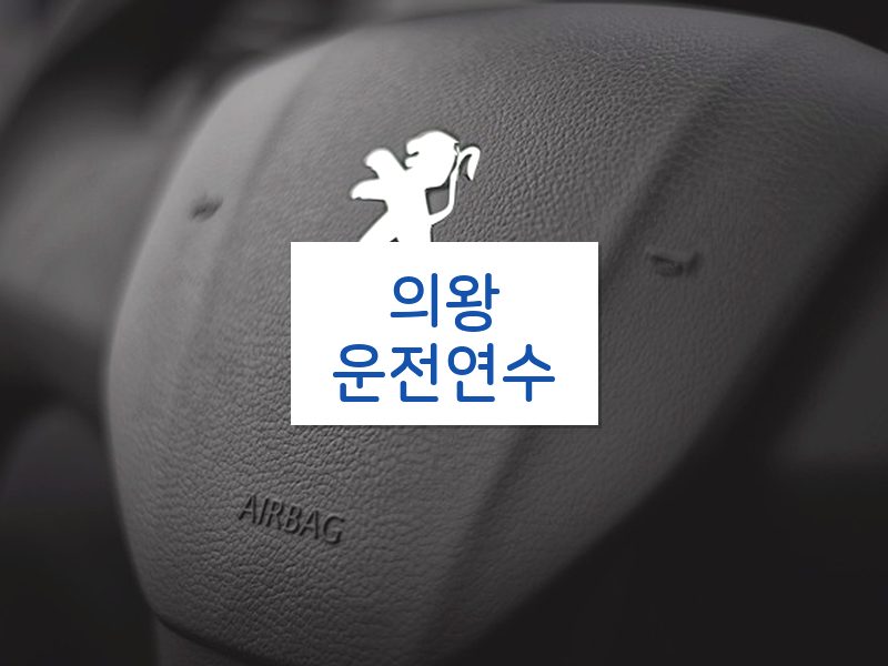 의왕운전연수 후기