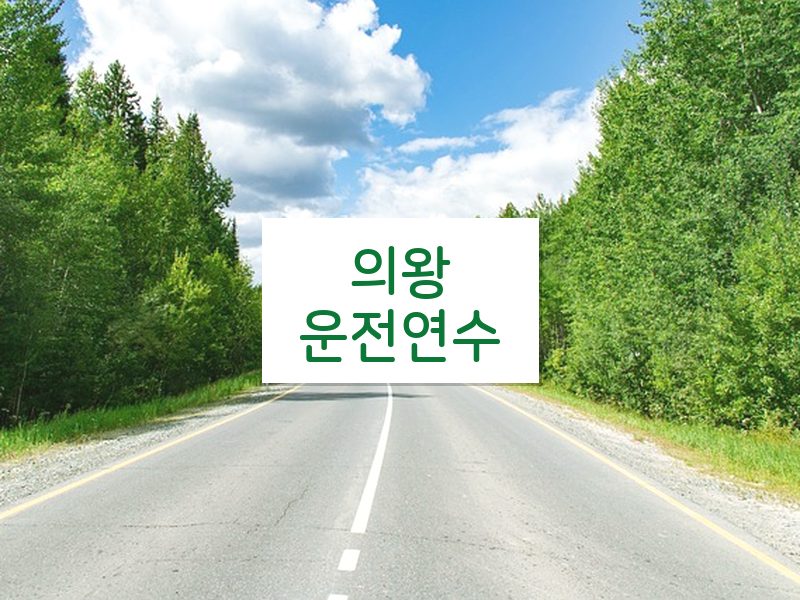 의왕운전연수 후기