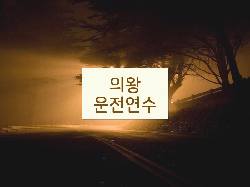 의왕운전연수 후기