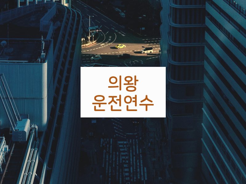 의왕운전연수 후기