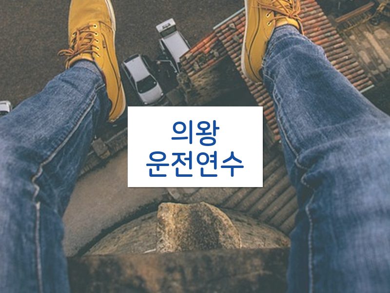 의왕운전연수 후기