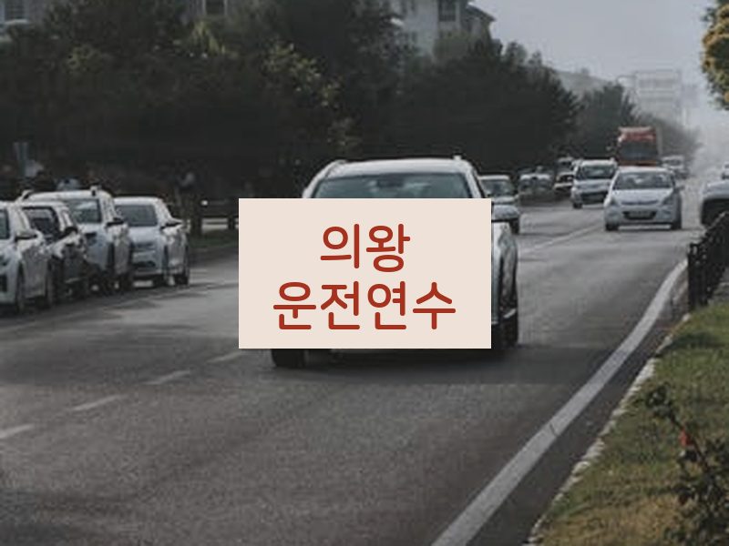 의왕운전연수 후기