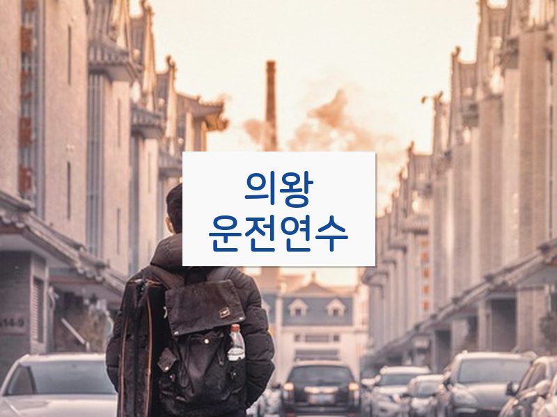 의왕운전연수 후기