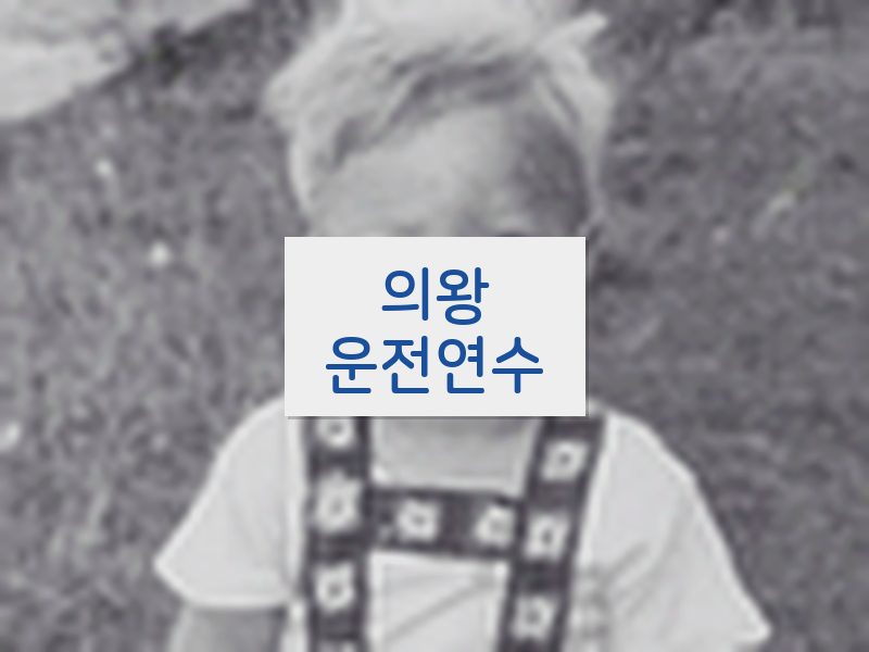 의왕운전연수 후기