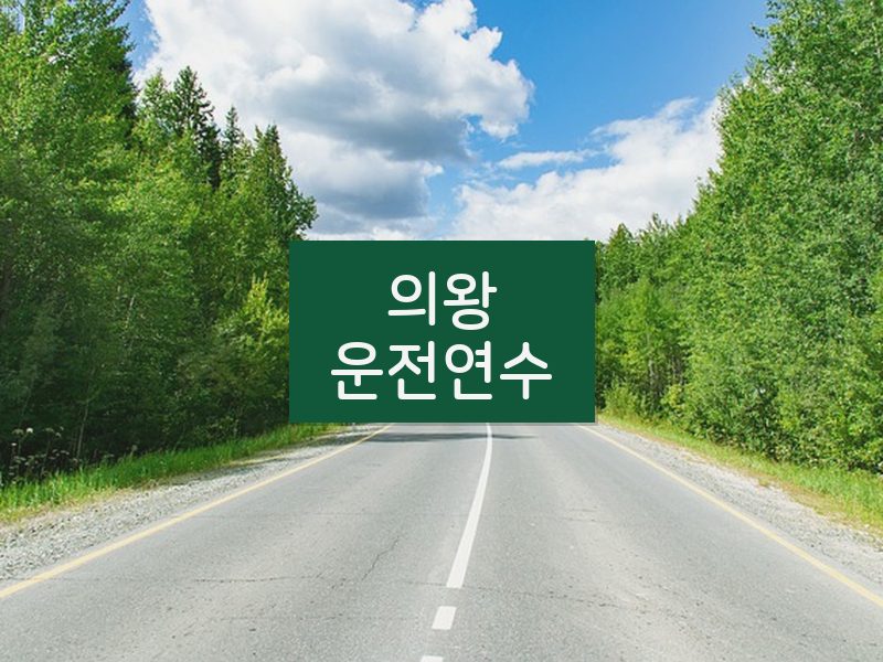 의왕운전연수 후기