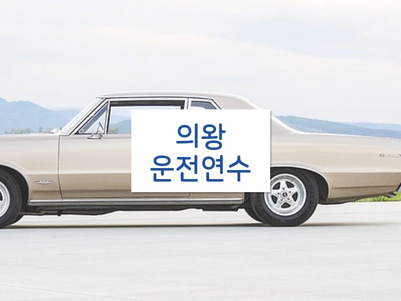 의왕운전연수 후기