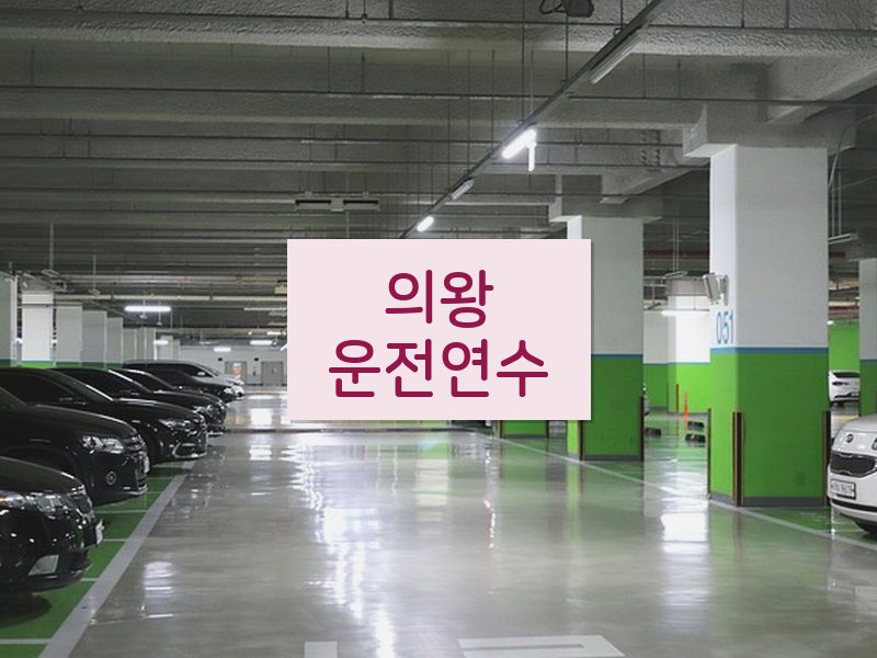 의왕운전연수 후기