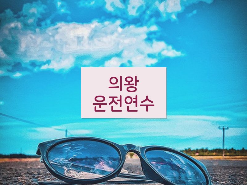 의왕운전연수 후기