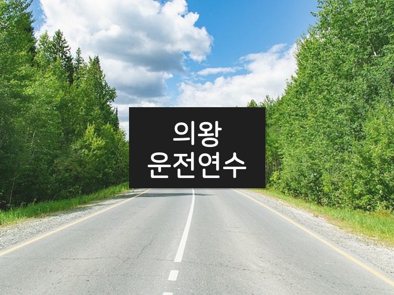 의왕운전연수 후기
